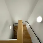 Duplex Delight 18 Mari *
